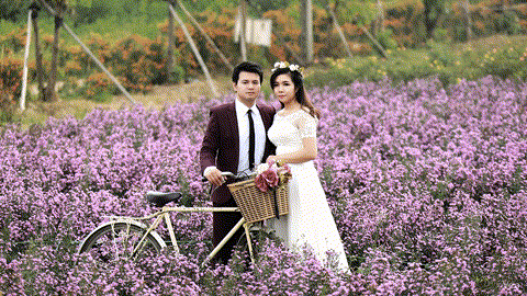 Ảnh kỷ niệm 9 năm của Phạm Viết Tiến và Hoàng Ánh Ngọc